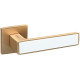 Ручки на розетах Gavroche NIKEL Ni - Z25 GoldSB/White