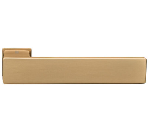 Ручки на розетах Gavroche FERRUM FE - X1 GoldSB