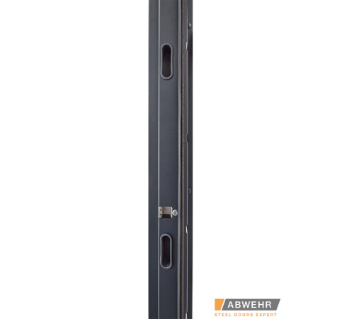 Вхідні Двері Defender (KTM) Solid 1200 Abwehr