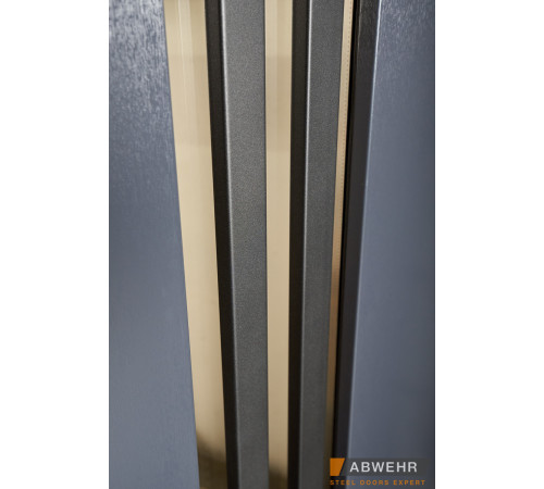 Вхідні Двері Bionica 2 (LP-6) Abwehr