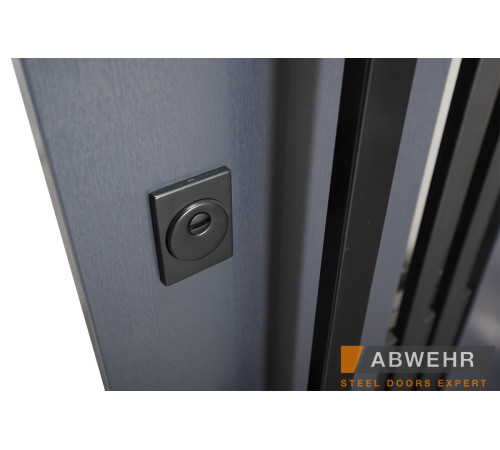 Вхідні Двері Bionica 2 (LP-6) Abwehr