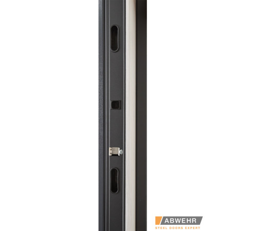 Вхідні Двері TERMIX (з терморозривом) Tower 527 1200 Abwehr