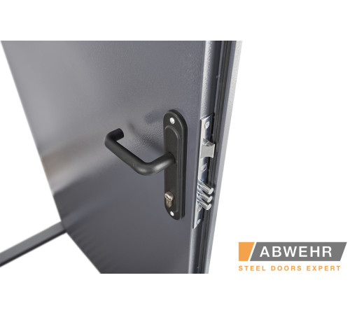 Вхідні Двері Storage (ST) без лиштви Abwehr