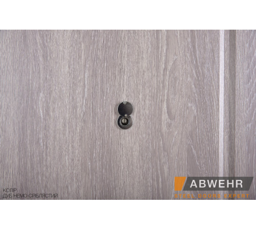 Вхідні Двері Classik (KC) 277 Vinorit Abwehr