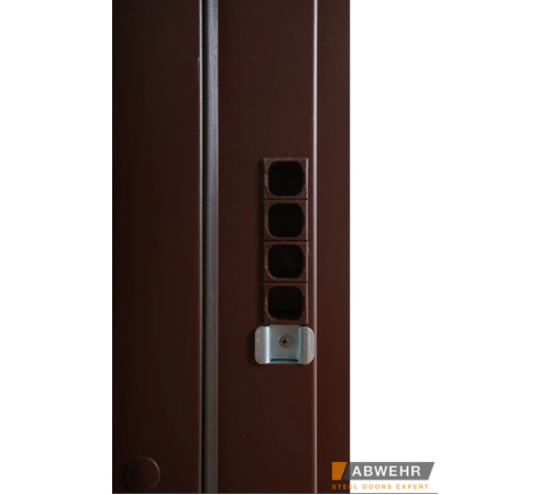 Вхідні Двері Bionica 2 LAMPRE (LP-1) ПГ Abwehr