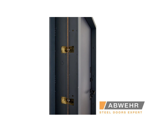 Вхідні Двері Bionica 2 LAMPRE (LP-3) ПГ Abwehr