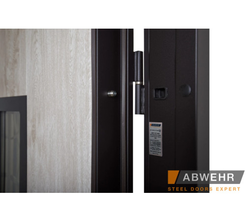 Входные Двери Defender (KTM) 408 Defender Glass RAL 8022Т Abwehr