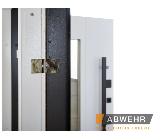 Вхідні Двері BIONICA 2 (BN2) LAMPRE (LP-5) антрацит Abwehr
