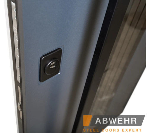 Вхідні Двері BIONICA 2 (BN2) LAMPRE (LP-5) антрацит Abwehr
