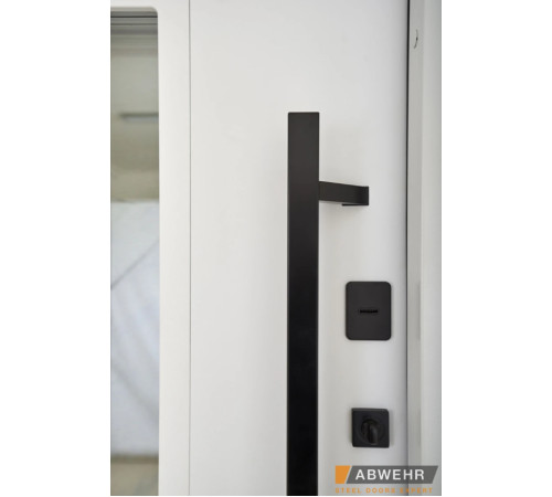 Вхідні Двері BIONICA 2 (BN2) LAMPRE (LP-5) антрацит Abwehr