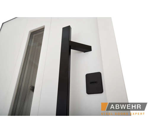 Вхідні Двері BIONICA 2 (BN2) LAMPRE (LP-5) антрацит Abwehr