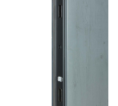 Вхідні Двері ТЕРМО ХАУС 703/191 Vinorit 1200 Булат