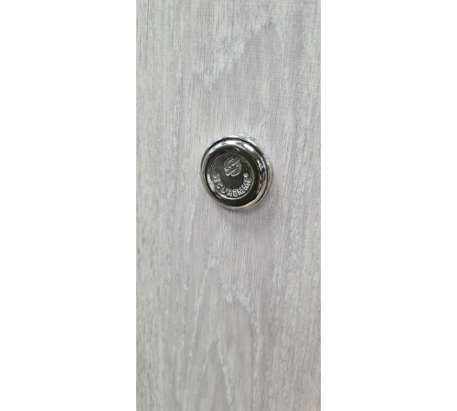 Вхідні Двері СЕКЬЮРИТІ мод 517 дуб немо карбон-дуб немо срібний Булат