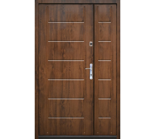 Вхідні Двері Modern Base RAL 8019 1200 "Galicia"