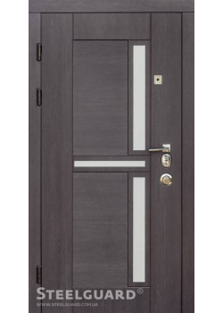 Двері Neoline Steelguard