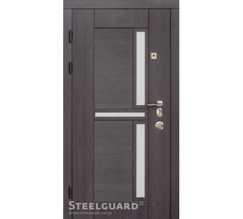 Вхідні Двері Neoline Steelguard