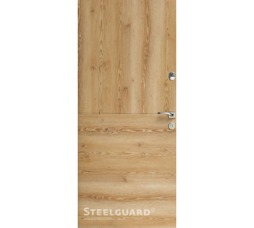Вхідні Двері Vega Steelguard