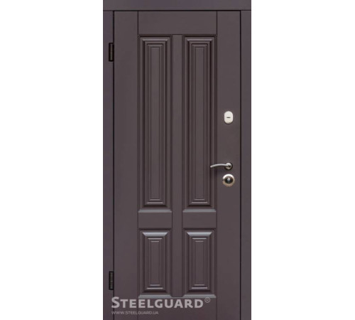 Вхідні Двері Balta Steelguard