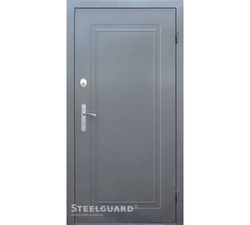 Вхідні Двері DG-2 двокольорова Steelguard