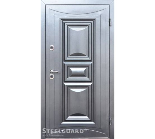 Вхідні Двері Termoskin двокольорові Steelguard