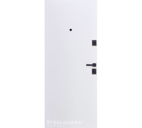 Вхідні Двері Remo 2 кольори "Steelguard"