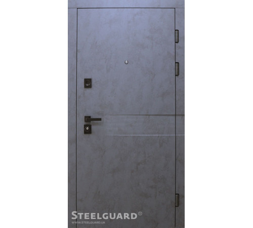 Вхідні Двері Remo 2 кольори "Steelguard"