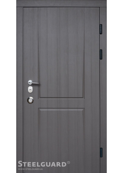 Двері Olymp 2 цвета Steelguard