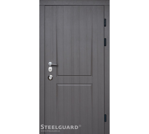 Вхідні Двері Olymp 2 цвета Steelguard