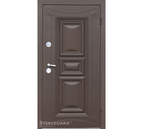 Вхідні Двері Termoskin Light 2 кольори Steelguard