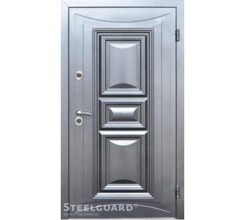 Вхідні Двері Termoskin Light 2 кольори Steelguard