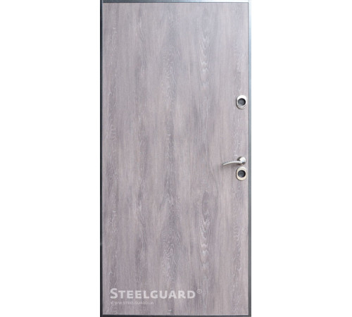 Вхідні Двері Termoskin Light 2 кольори Steelguard