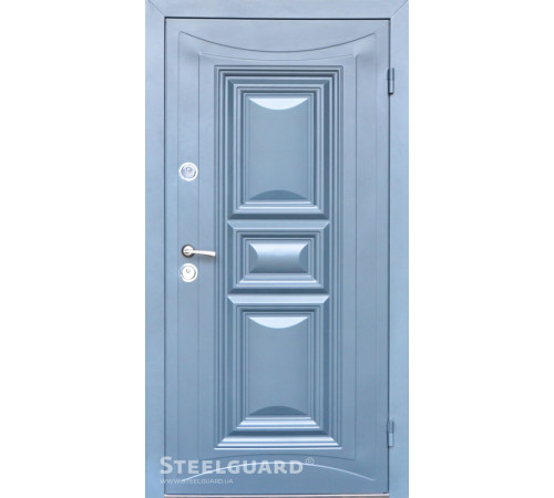 Вхідні Двері Termoskin Light 2 кольори Steelguard