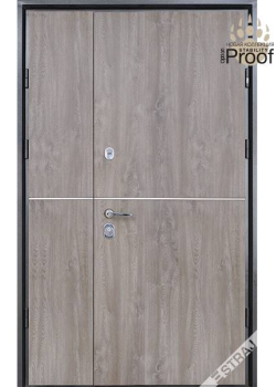 Двері Party A 1200 Страж
